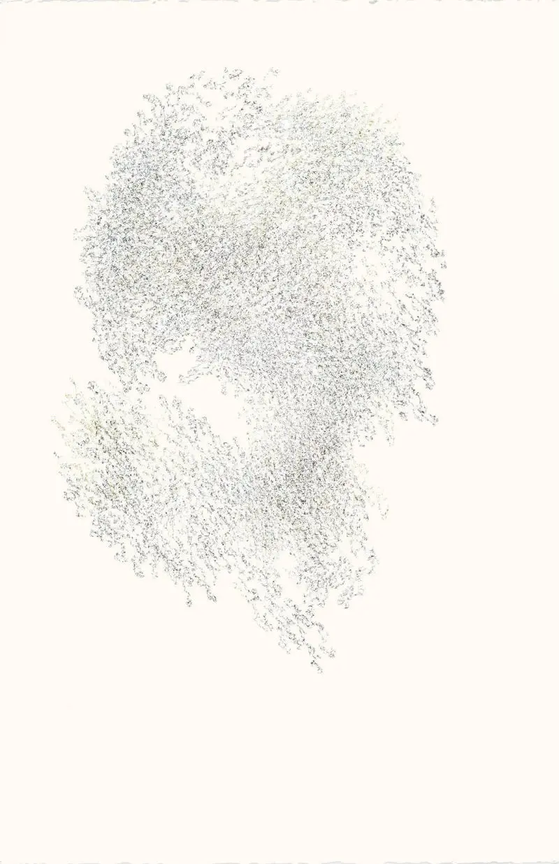 11_ChristineLeins_Tusche_o.T._2009_57,5x38_Ausstellung Angermuseum Erfurt 2011