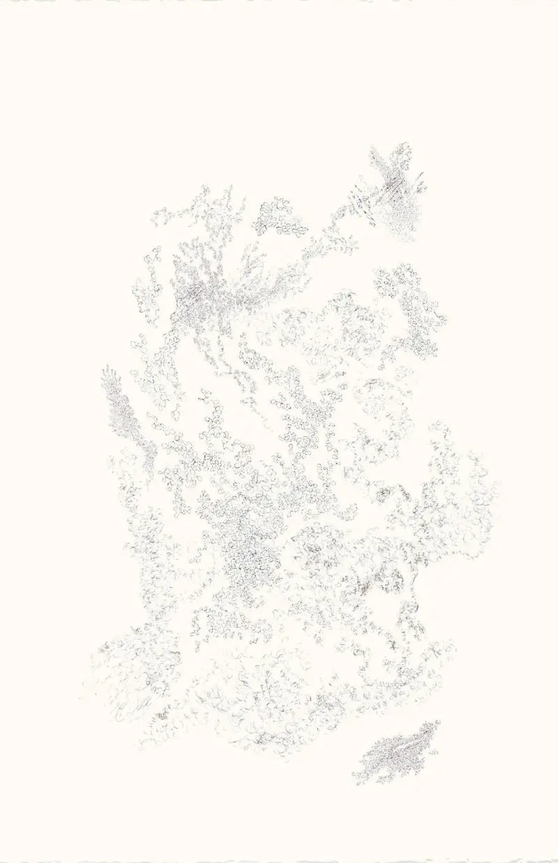 15_ChristineLeins_Tusche_o.T._2009_57,5x38_Ausstellung Angermuseum Erfurt 2011