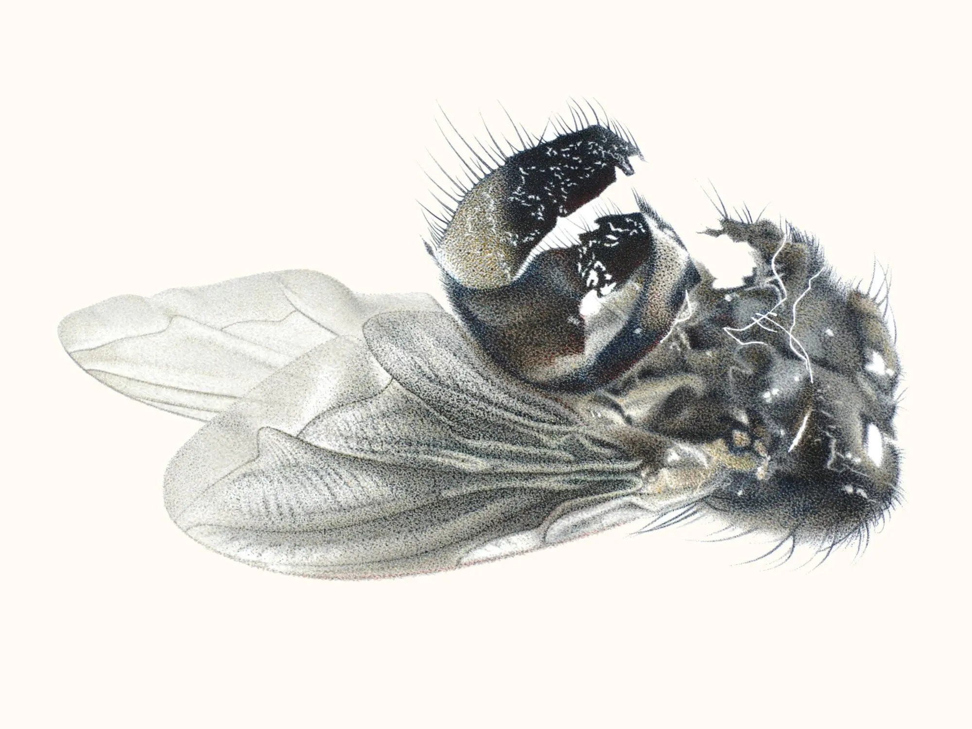 121_Christine-Leins_Aquarell_o.T._1995_38,0x28,5 cm